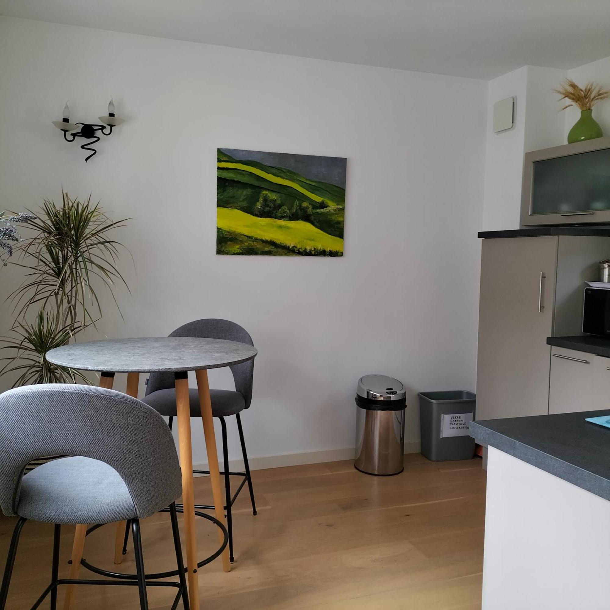 Appartement Salamandre Orleans Ngoại thất bức ảnh